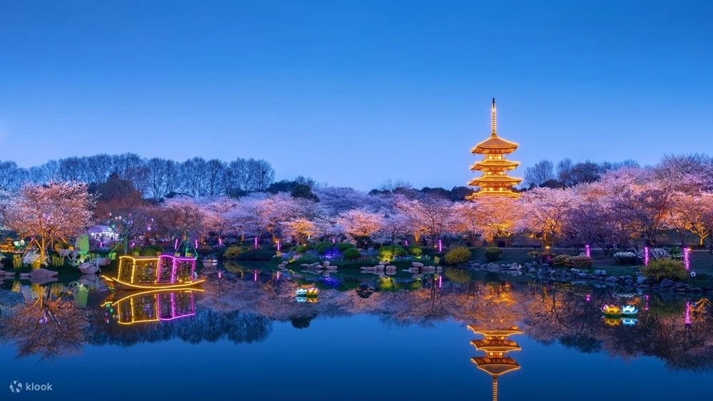 Vũ Hán - Lễ Hội Hoa Anh Đào