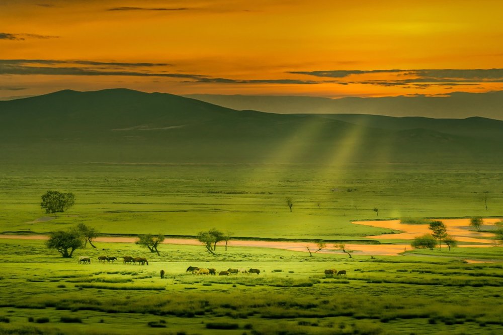 Nội Mông Với Thảo Nguyên Xanh Mướt