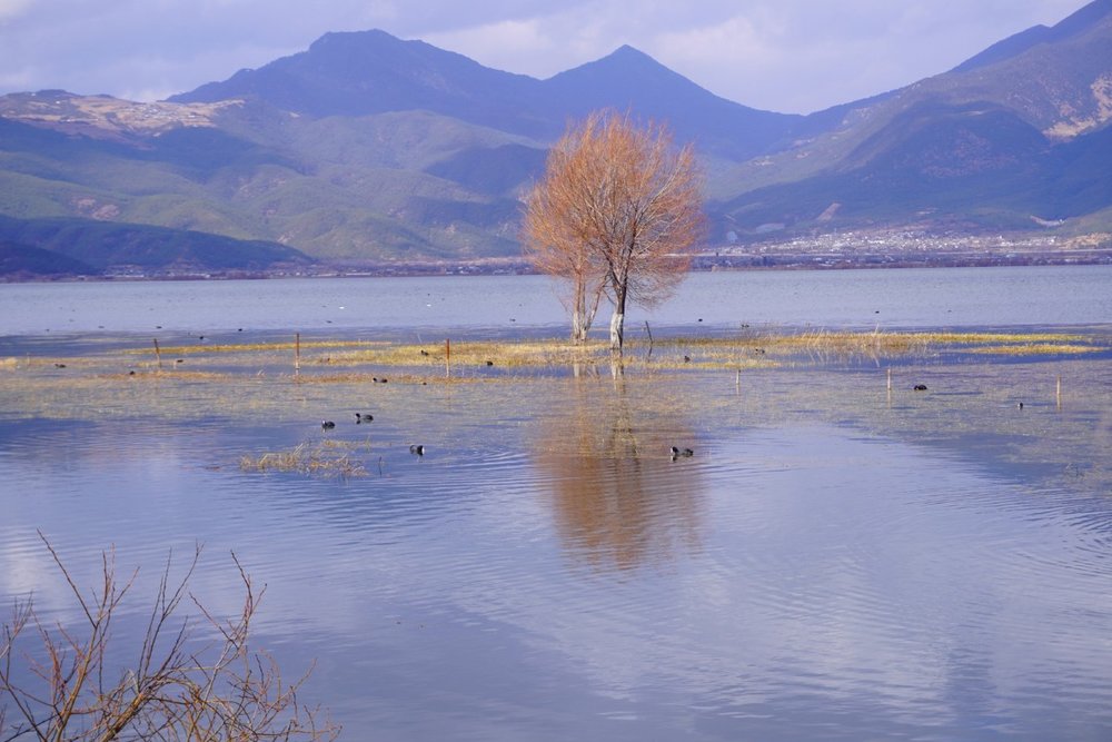 Vân Nam - Cảnh Sắc Và Văn Hóa Phong Phú