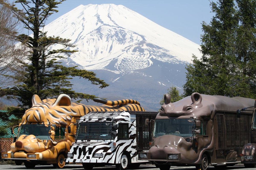 富士野生動物園,靜岡機場