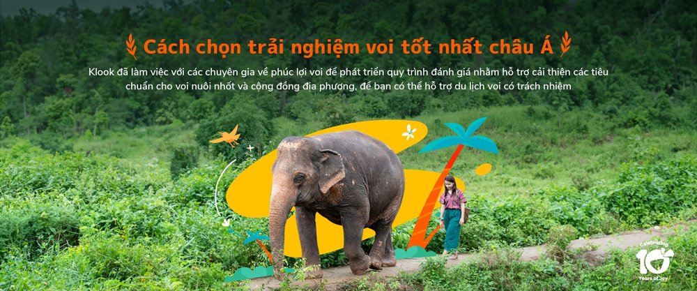 Tìm Kiếm Những Trải Nghiệm Du Lịch Bền Vững Cùng Klook