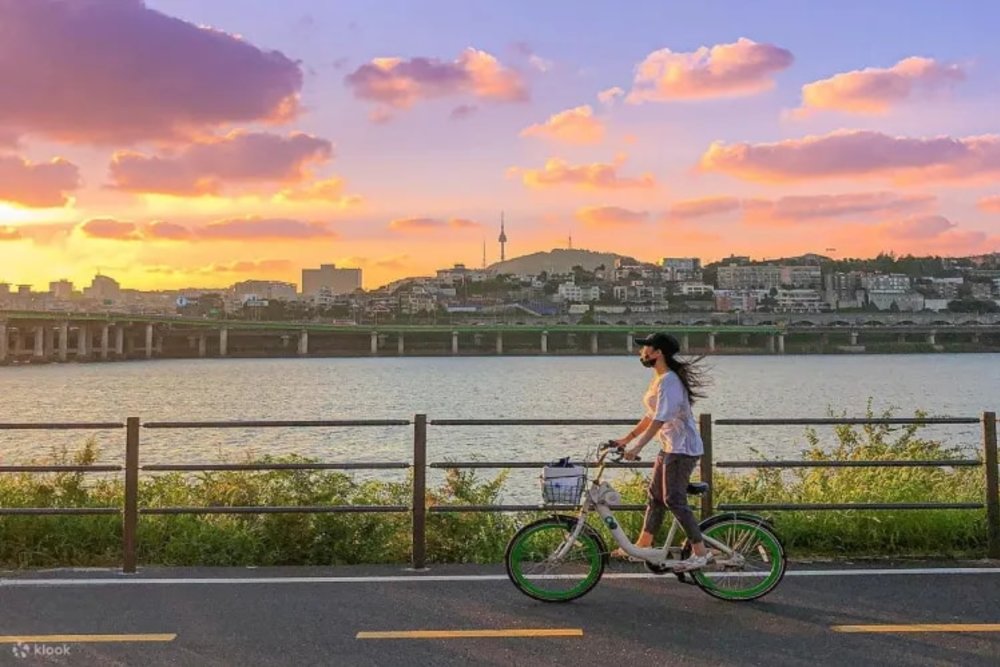 汝矣島漢江公園|設施&推薦玩法