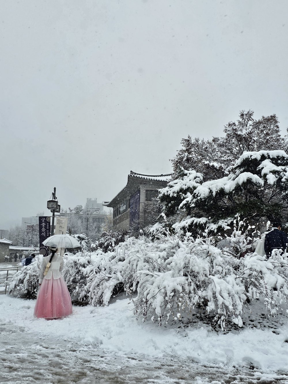 Wearing a Hanbok at Gyeongbokgung Palace During Winter in Seoul, South Korea