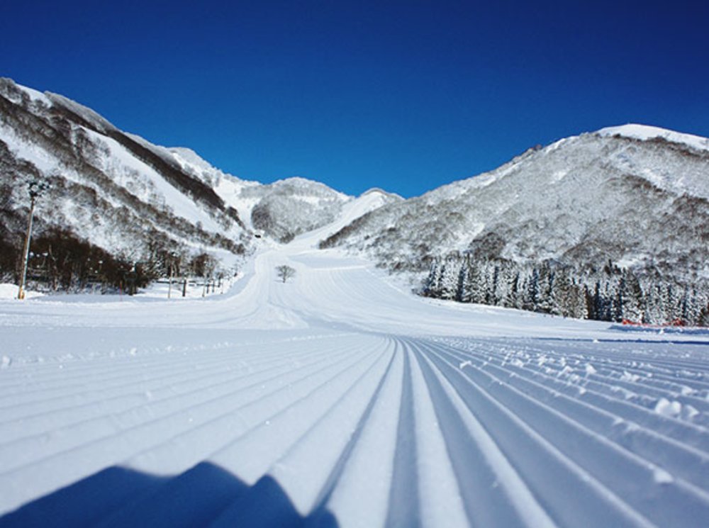 白馬 Cortina 滑雪場