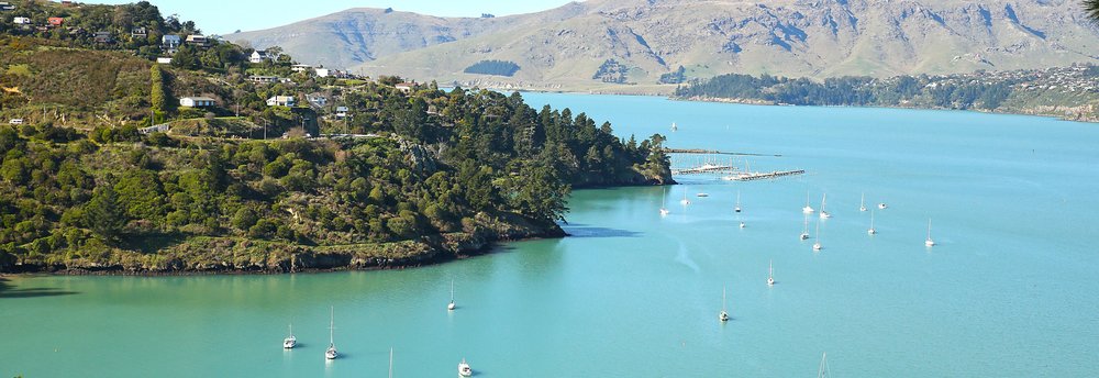new zealand south island road trips