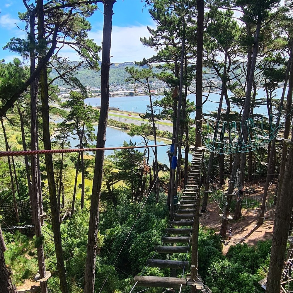 new zealand south island road trips