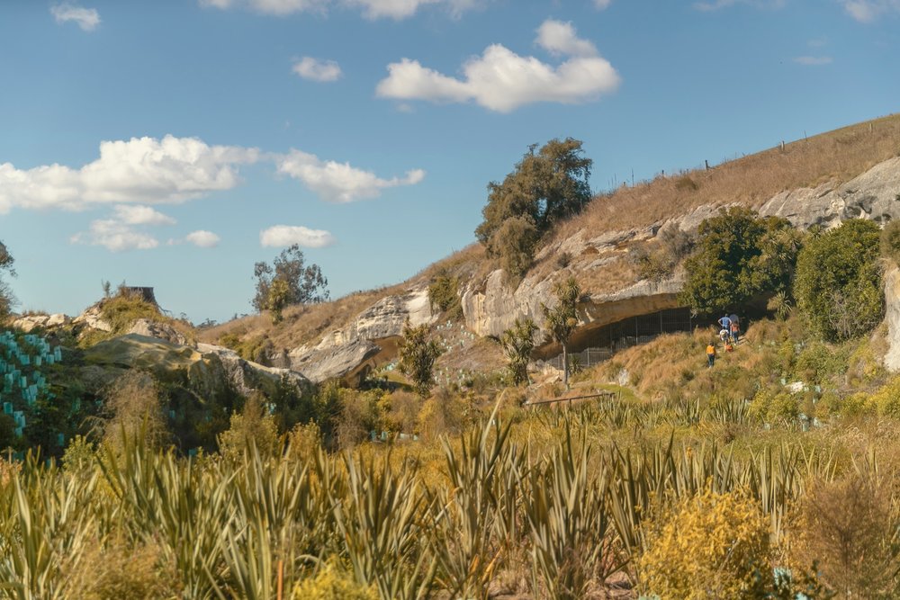 new zealand south island road trips
