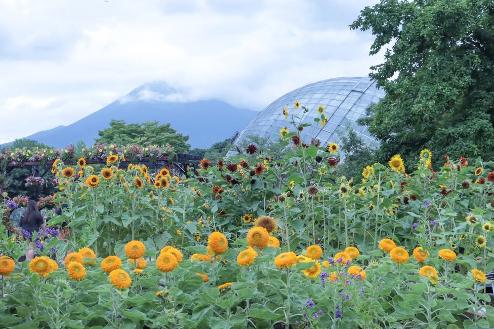 鳥取景點 鳥取自由行