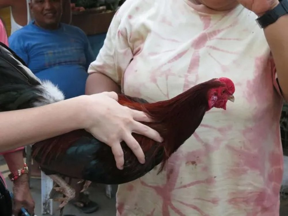 宿霧卡邦市場（Carbon Market）