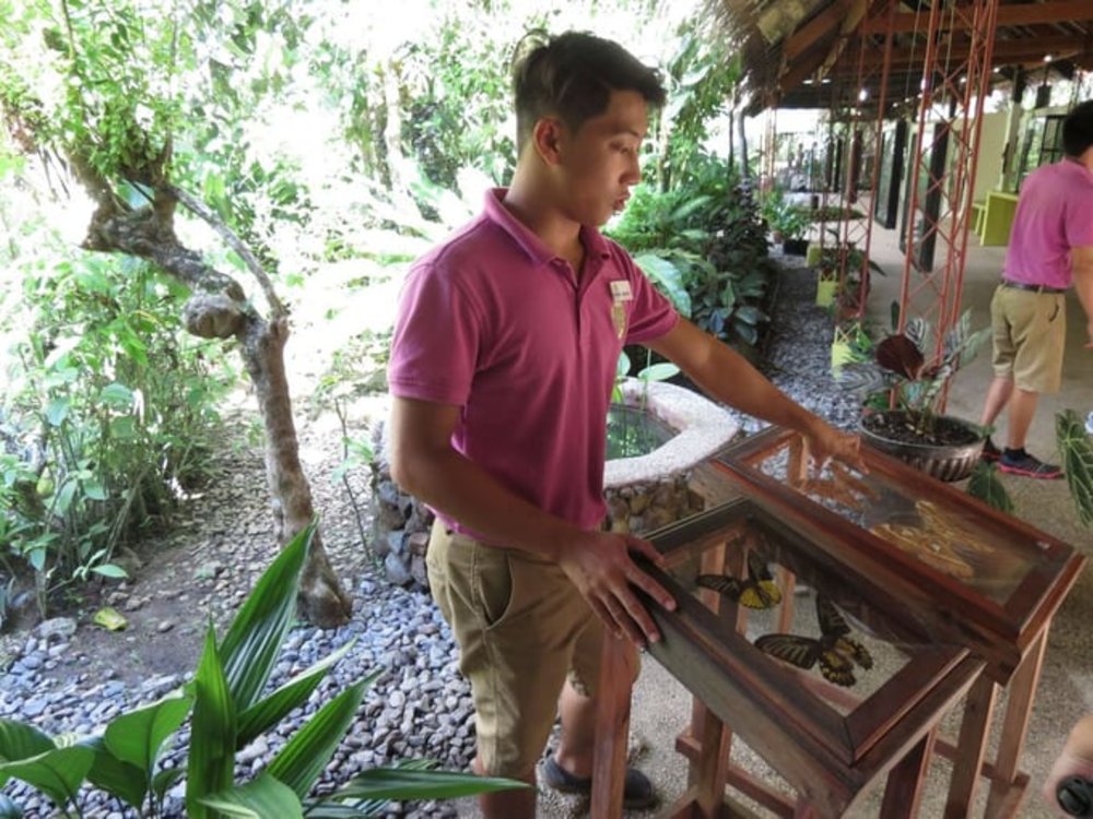 宿霧蝴蝶保護區