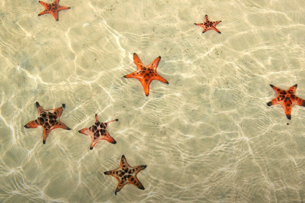 Bãi Sao Phú Quốc