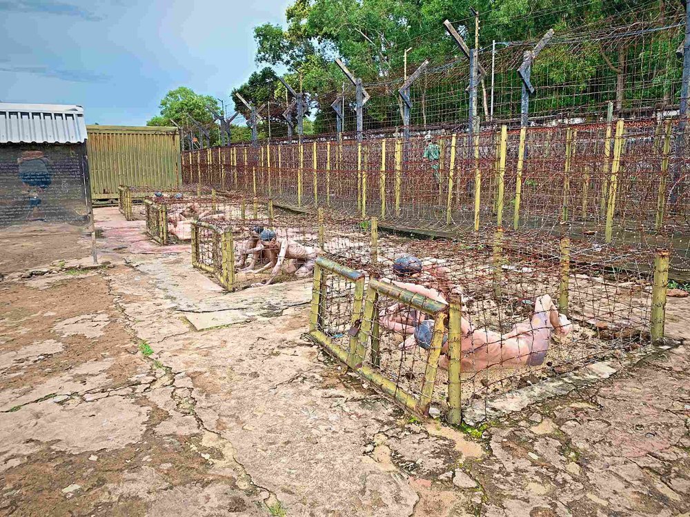 Giới Thiệu Nhà Tù Phú Quốc (Nhà Lao Cây Dừa Phú Quốc)