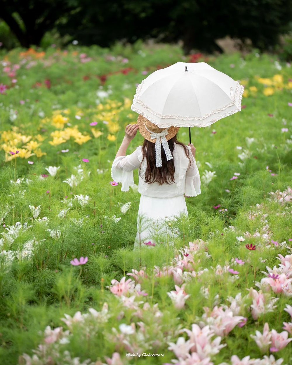 鳥取自由行 鳥取景點 鳥取好去處