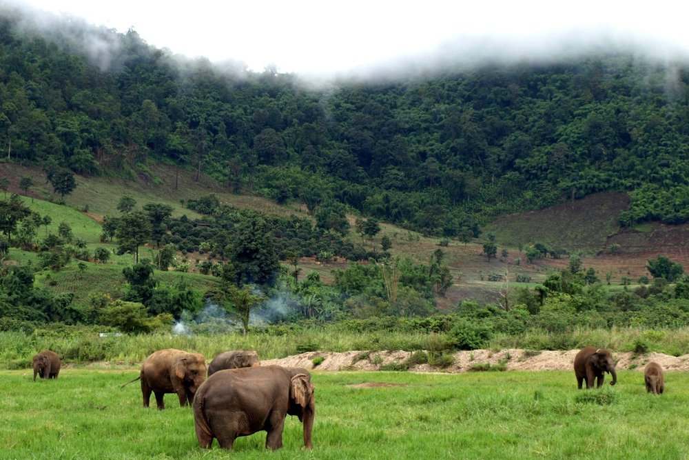 Cao Nguyên Mondulkiri