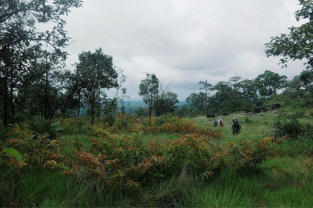 Vườn Quốc Gia Virachey