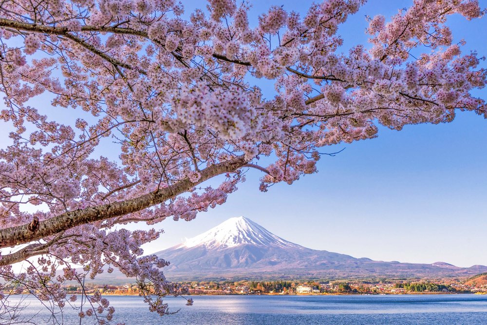 Hồ Kawaguchi - Ôm Trọn Khung Cảnh Nhật Bản Mùa Xuân