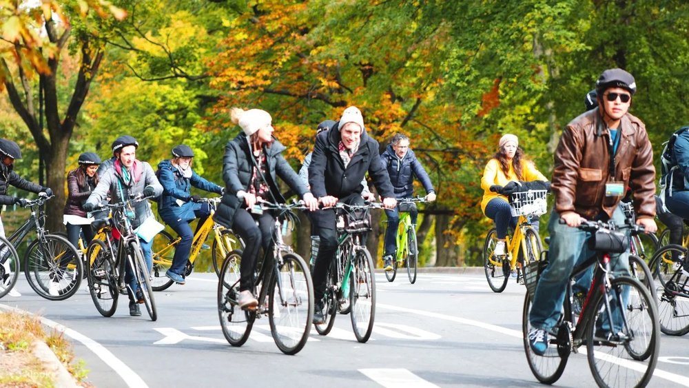  Xe Đạp Cho Những Chuyến Dạo Chơi Ngắn