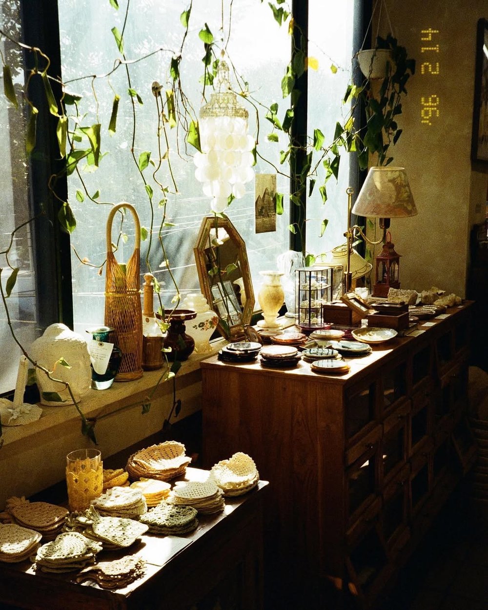 濟州島必買推薦：Mood Jeju