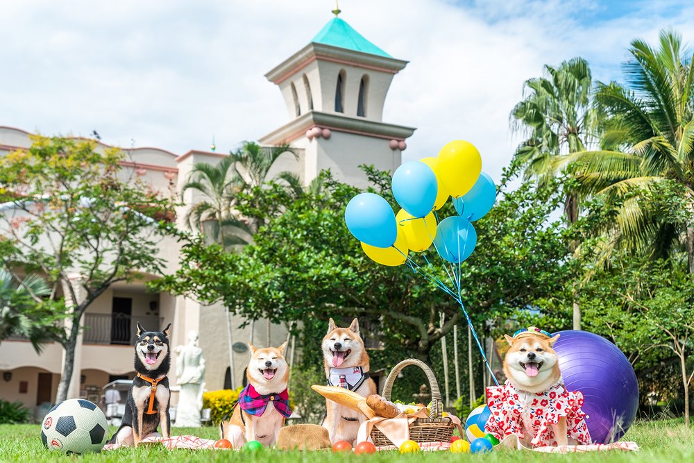 理想大地的生態景觀