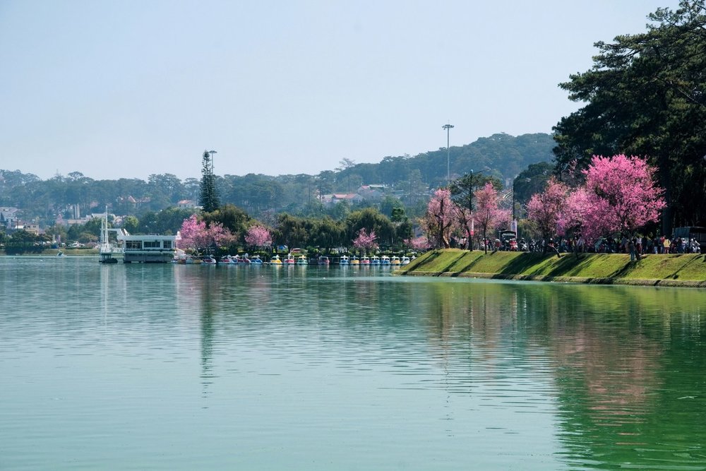 Đi Đà Lạt Từ Hà Nội