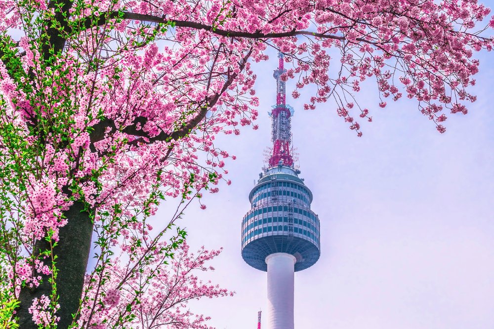 Tháp Namsan, Biểu Tượng Của Tình Yêu - Seoul