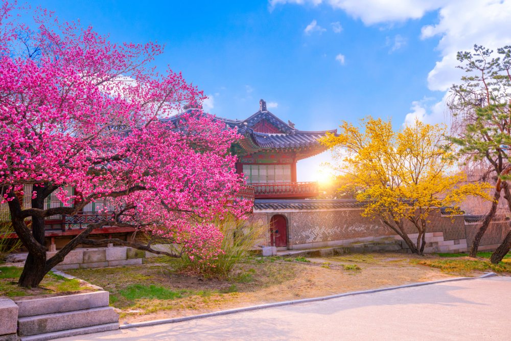 Cung Điện Changdeokgung - Seoul 