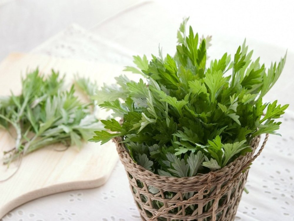 Ssuk (Rau Ngải Cứu Non)