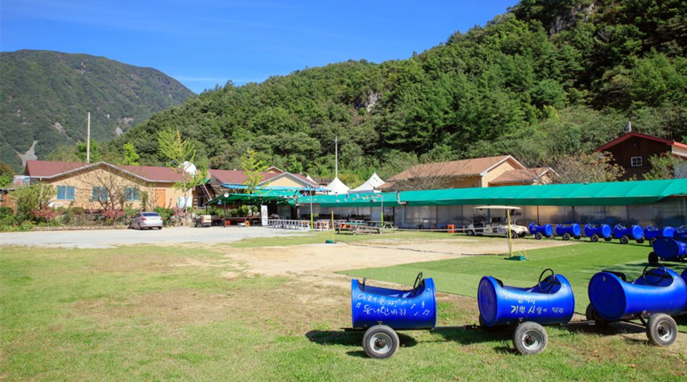 blue cars in a field