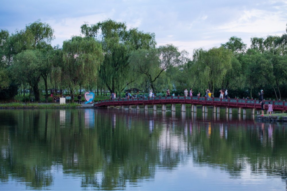 small bridge with a river