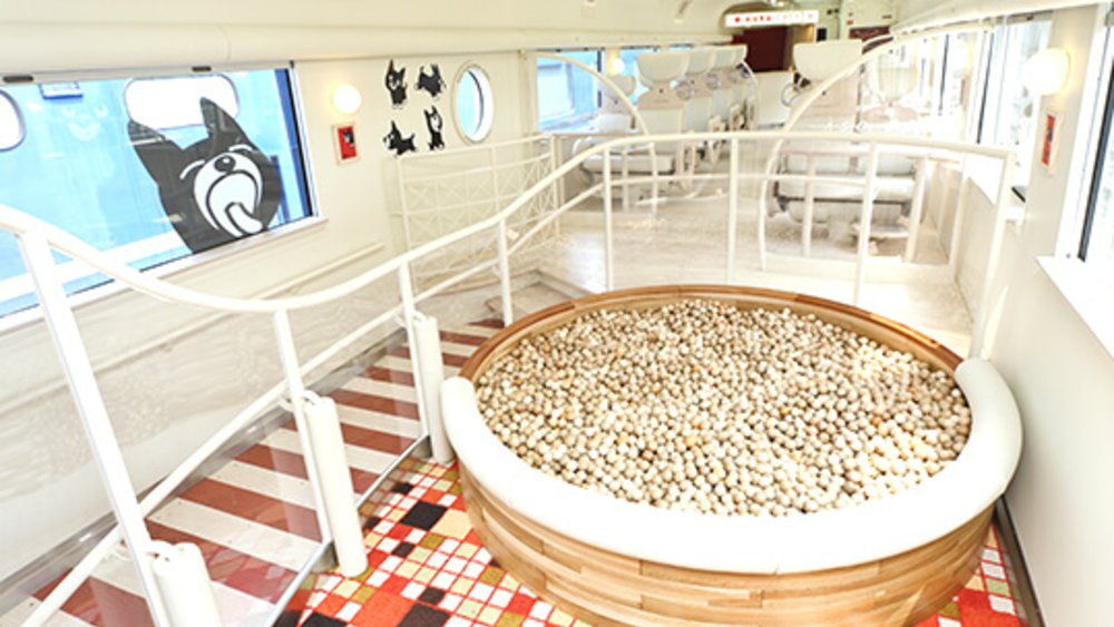 Japan JR Kyushu Pass - Sightseeing Trains ASO BOY