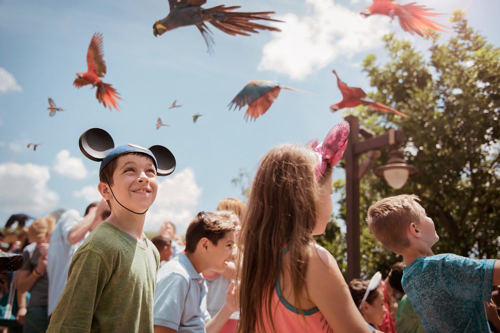 Cách Di Chuyển Từ Việt Nam Đến Walt Disney World Orlando