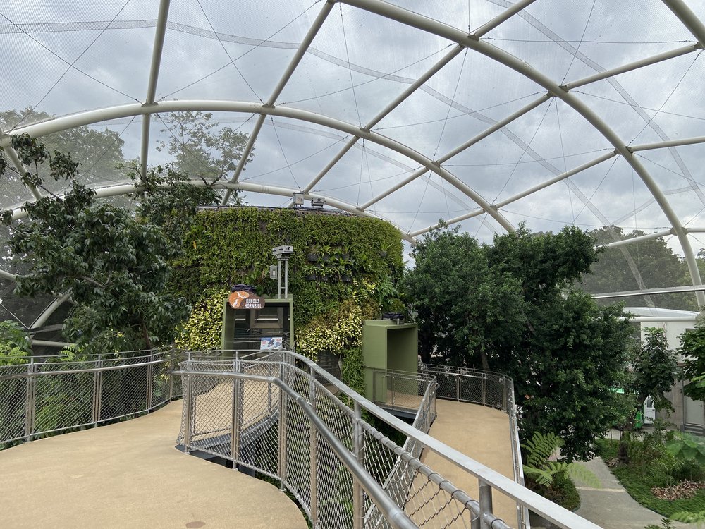 manila ocean park biodome interiors