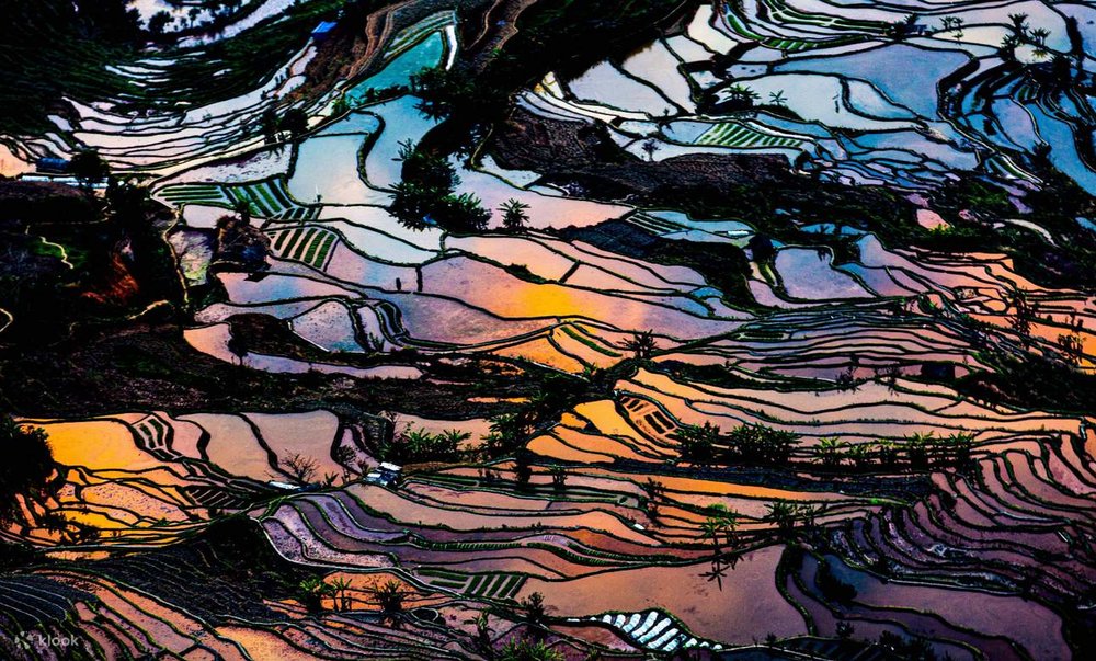 Ruộng Bậc Thang Yuanyang - Yuanyang, Vân Nam