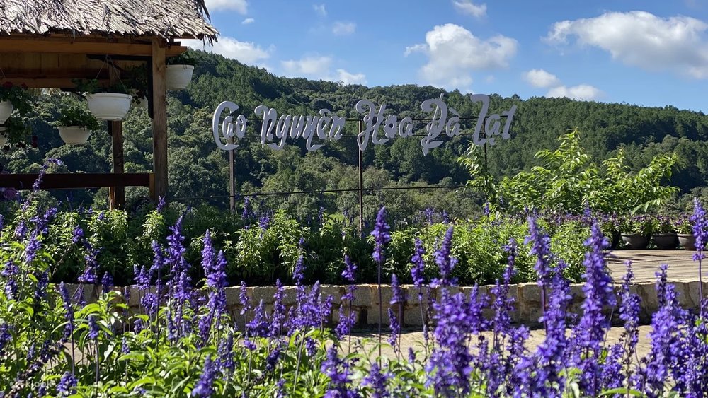 Du Lịch Đà Lạt Tết Dương Lịch