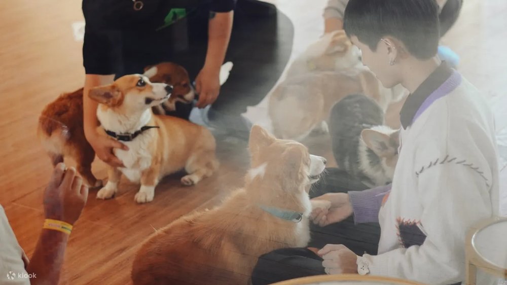 địa điểm du lịch đà lạt