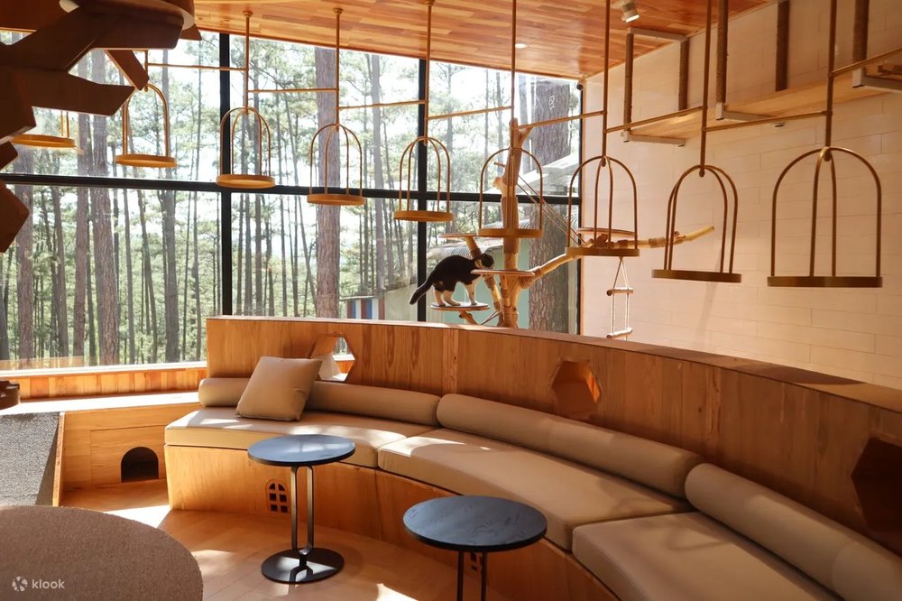 địa điểm du lịch đà lạt