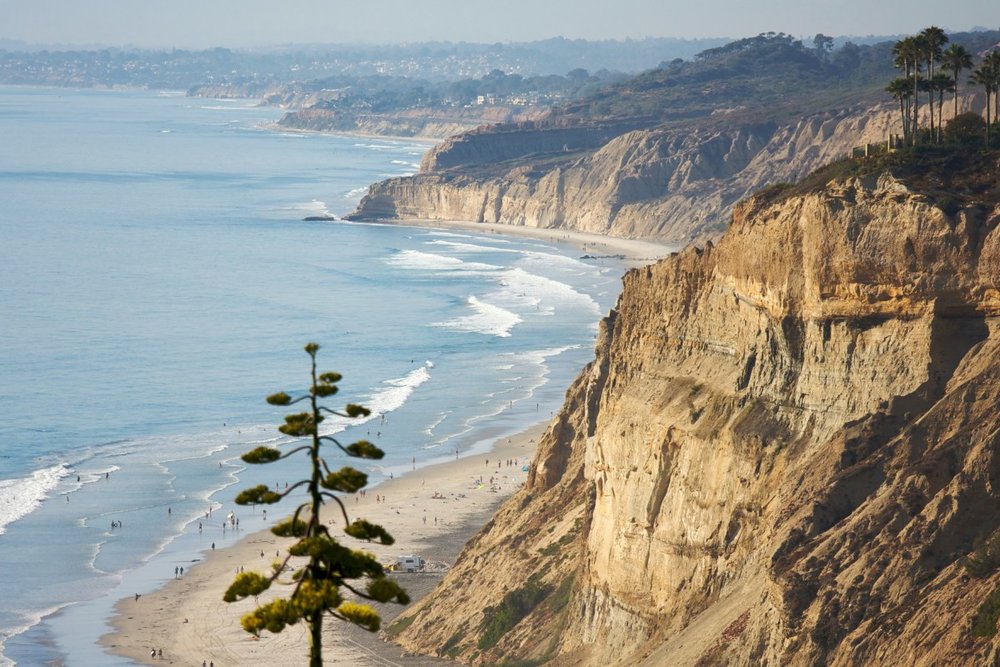 Bãi Biển Torrey Pines State Beach