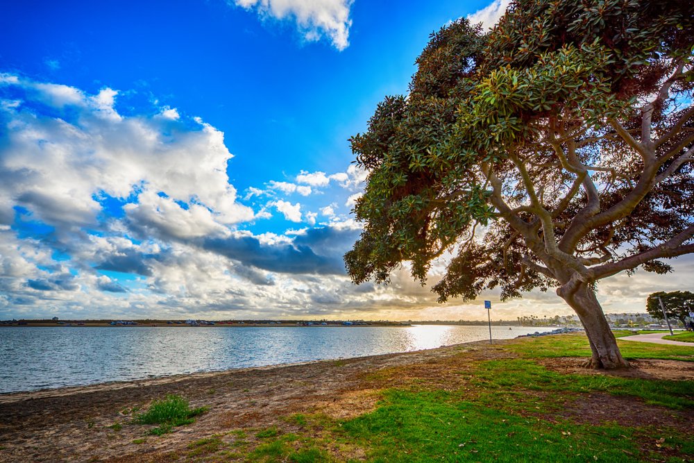 Công Viên Mission Bay Park
