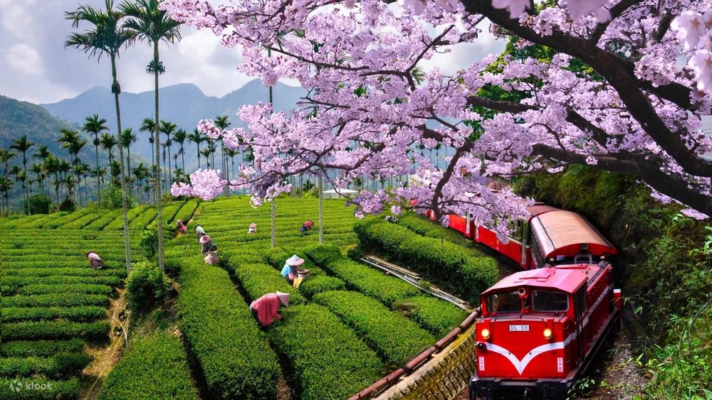 Núi A Lý Sơn - Gia Nghĩa, Đài Loan