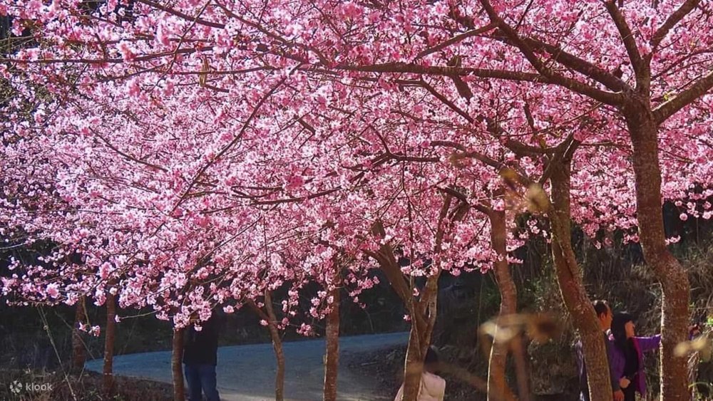 Nông Trường Vũ Lăng - Đài Trung, Đài Loan