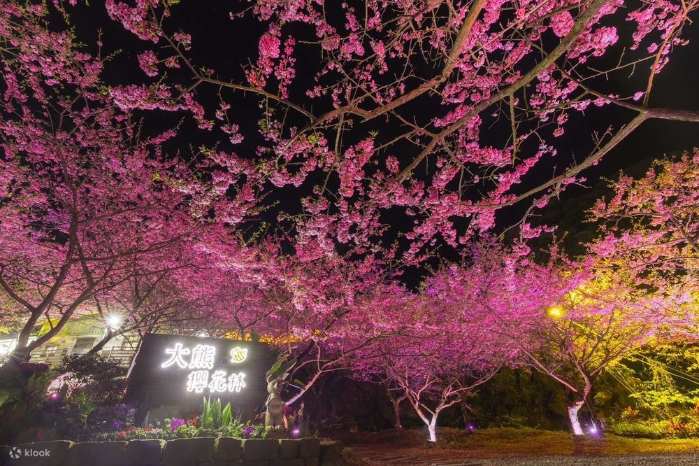 Rừng Hoa Anh Đào Tam Hiệp - Đại Hùng, Đài Loan