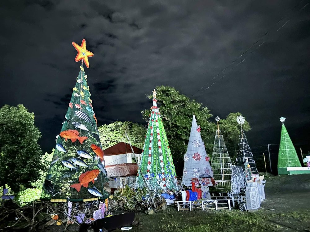 Christmas trees (Source: Zamboanga Peninsula)