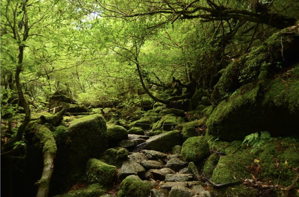 Photo credit: Takeshi Kuboki on Flickr Creative Commons