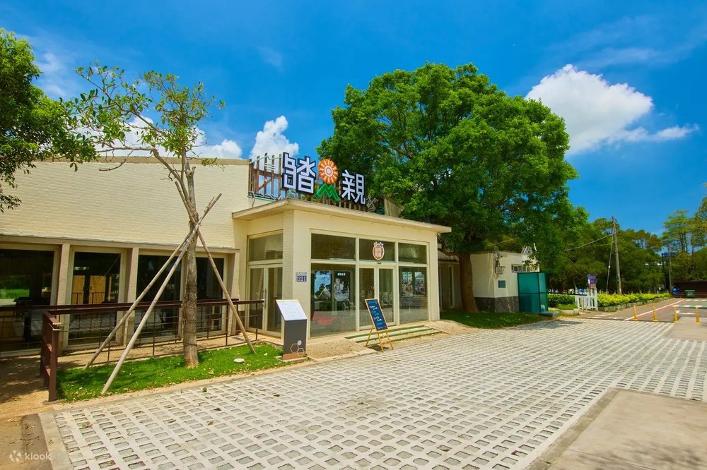 台中美食:踏親寵物親子餐廳