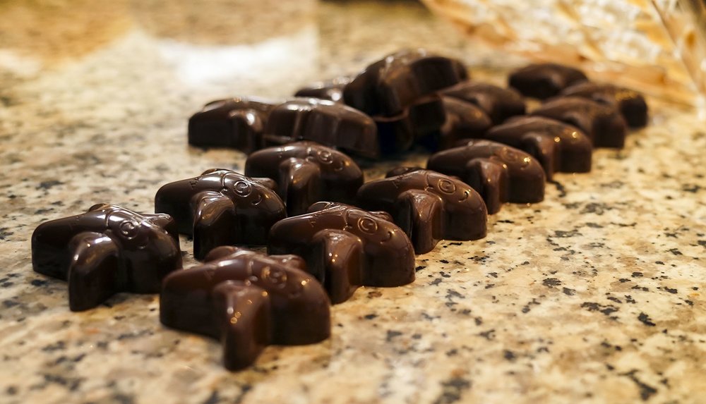 Tour Bảo Tàng Ở Brussels