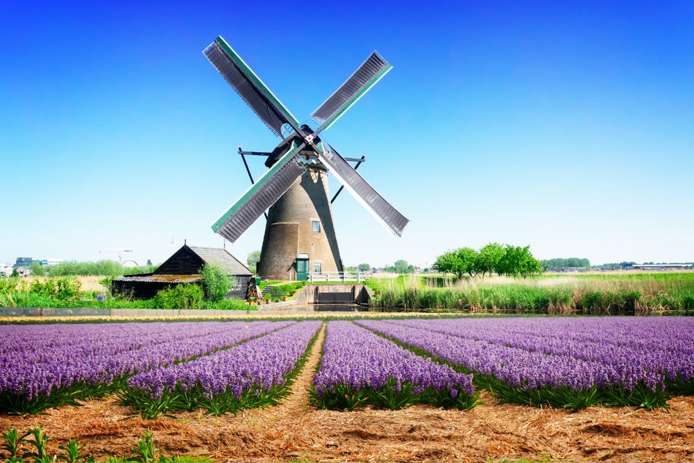 Vùng Nông Thôn Amsterdam