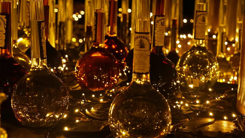 Fredenbaumpark's holiday decorations and traditional wine