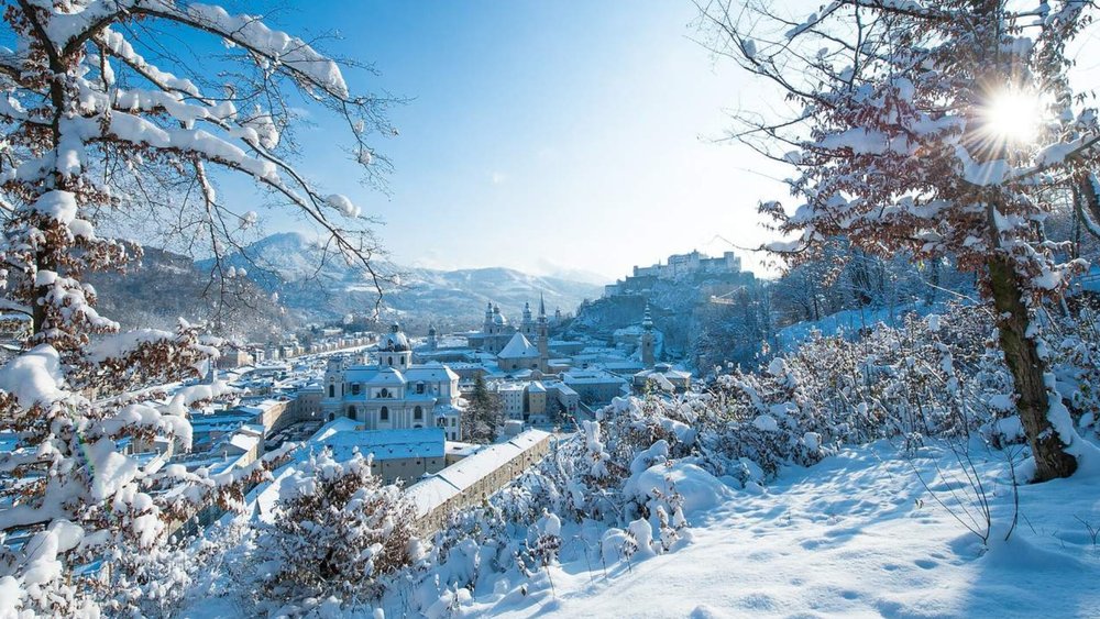 From Vienna: Guided day Tour to Hallstatt and Salzburg towns