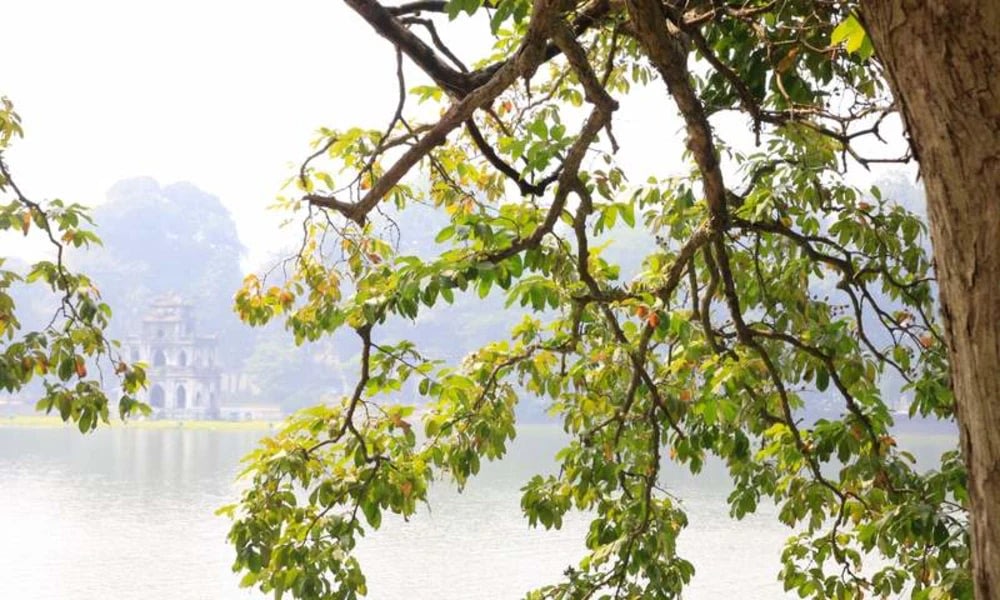 春季、秋季的河內天氣適合前往還劍湖，欣賞湖畔美景