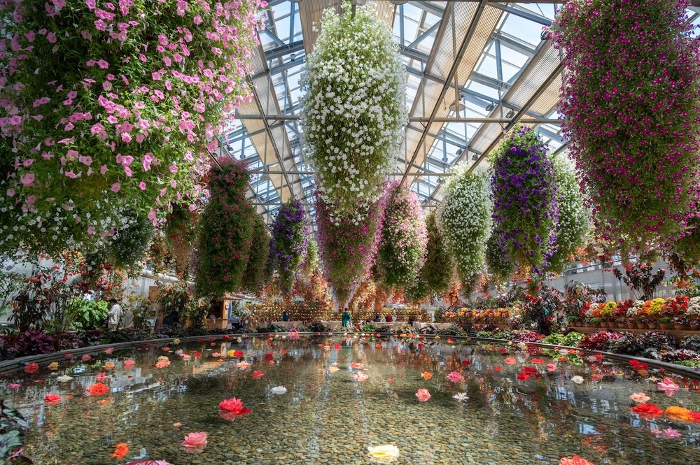 Nabana no Sato Flower Garden